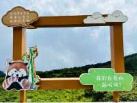 Where the Mountains Heal You: Cangshan’s Quiet Magic
