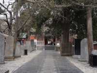 【武林聖地】登封少林寺深度朝聖攻略：解鎖千年禪武文化的奧秘