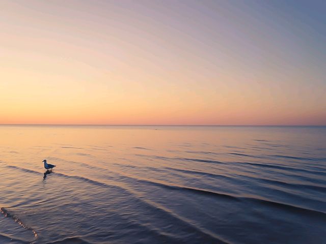 Chasing the Sunset at Jūrmala Beach, Latvia