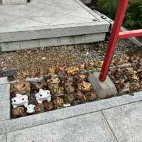 🇯🇵【和歌山県】淡嶋神社！柱をくぐって願いが叶う！？