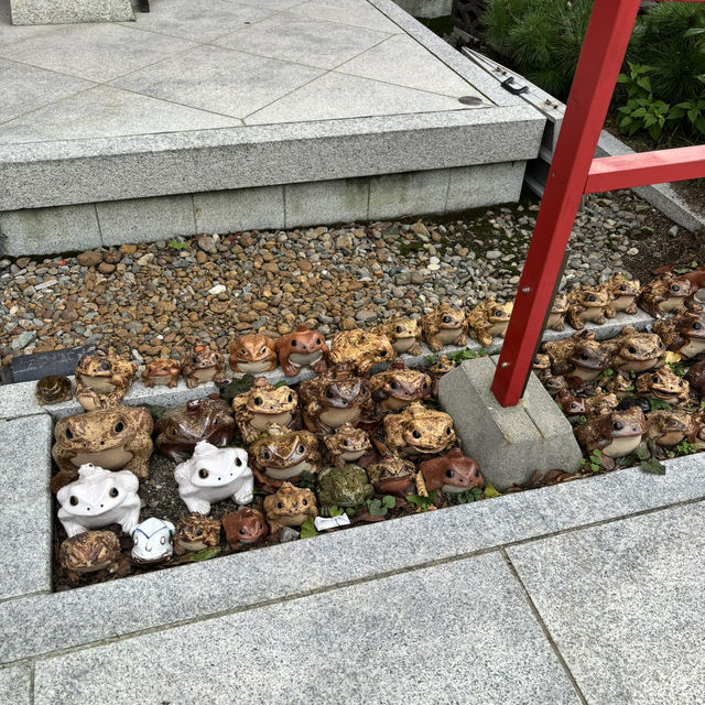 🇯🇵【和歌山県】淡嶋神社！柱をくぐって願いが叶う！？