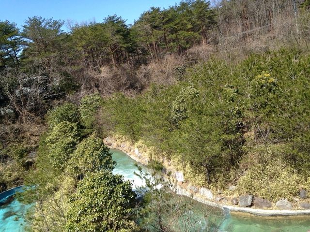 【栃木】那須ハイランドパークでジェットコースター三昧！