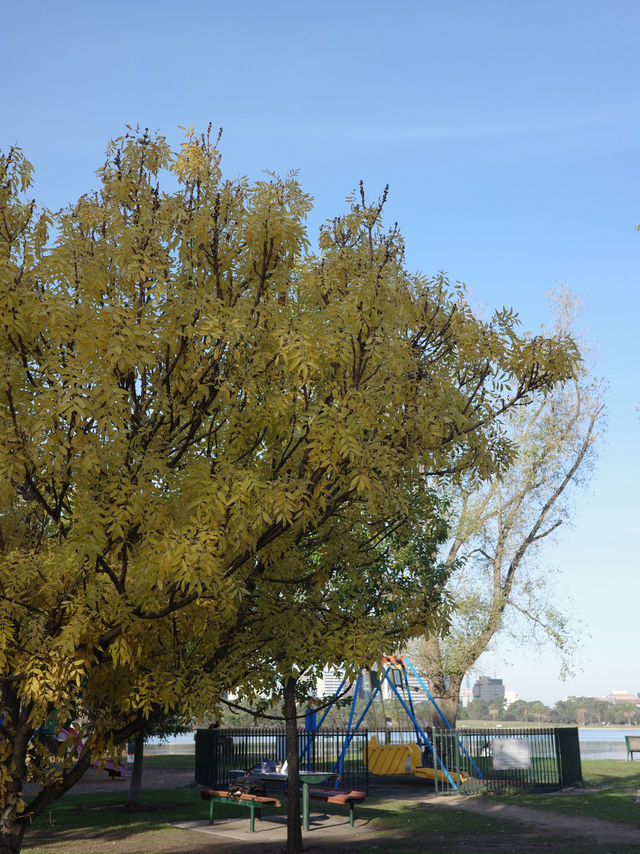 🇦🇺墨爾本適合野餐的小公園