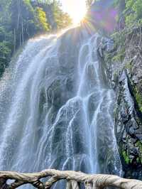 Running Horse Waterfall: Cascading Elegance in a Misty Veil
