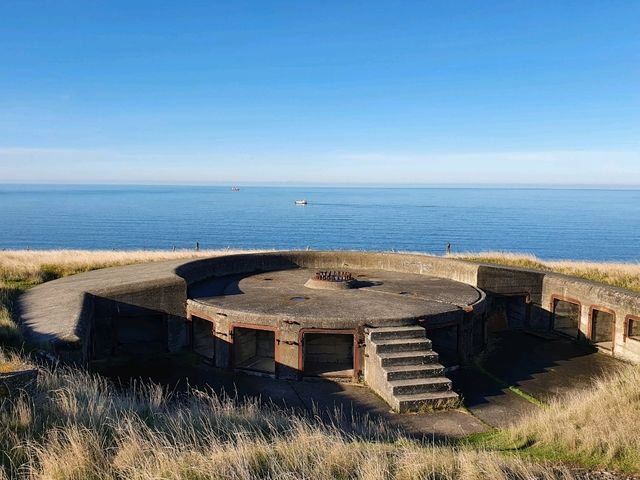 Exploring History and Coastline: Godley Head Park Adventure⛰️