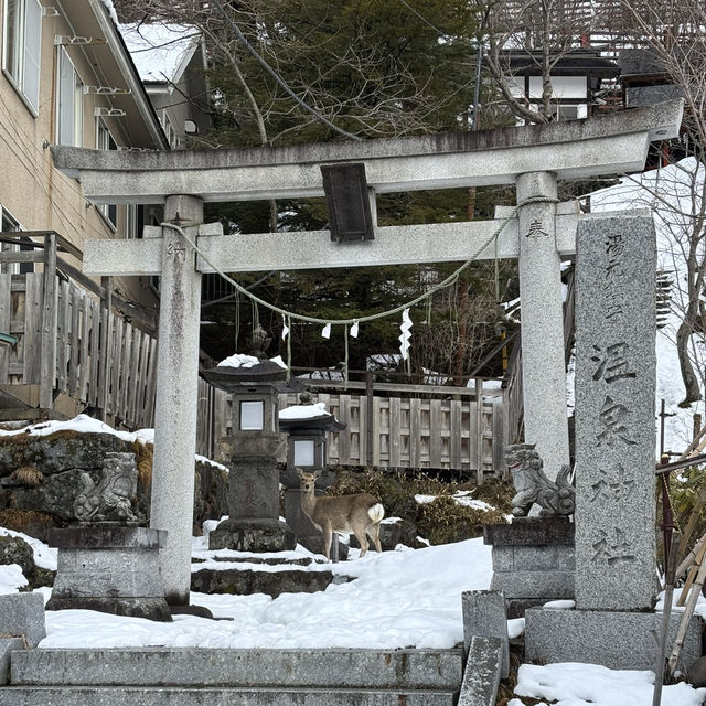 冬の日光で自然満喫