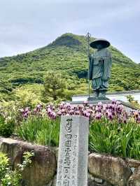 Springtime Charm at Kozan-ji Temple