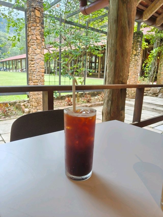 Creamy Comfort in the Forest – Spaghetti Carbonara at Pineyard