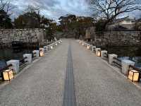 Is This Japan’s Best-Kept Secret? An Early Spring Evening at Okayama Castle!