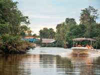 🌿🚤 Klias River Cruise Review: A Wild Borneo River Safari!