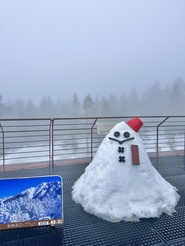 🇯🇵 飛驒高山一定要一起去北阿爾卑斯山纜車🚡