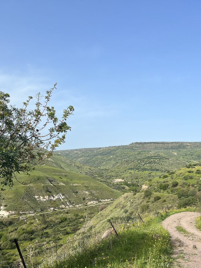 Charming Alley In Golan