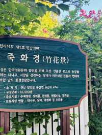 A White Cloud Descends: Discovering the Ethereal Hydrangea Seas of Jukwhagyeong