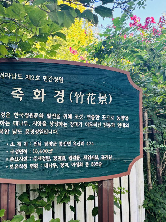 A White Cloud Descends: Discovering the Ethereal Hydrangea Seas of Jukwhagyeong
