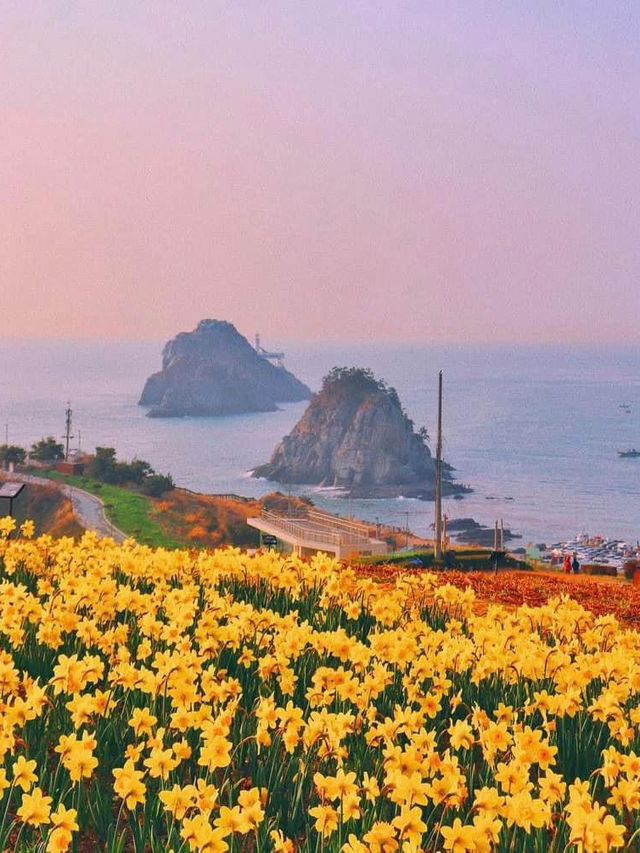 Đi đảo 오륙도 thì ăn gì ? Chơi ở đâu ?