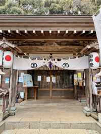 【徳島県】猫好きな方に必見の神社
