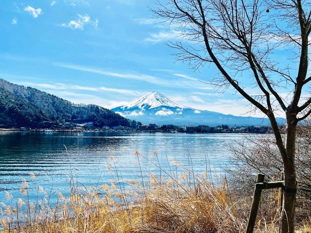 Fuji San