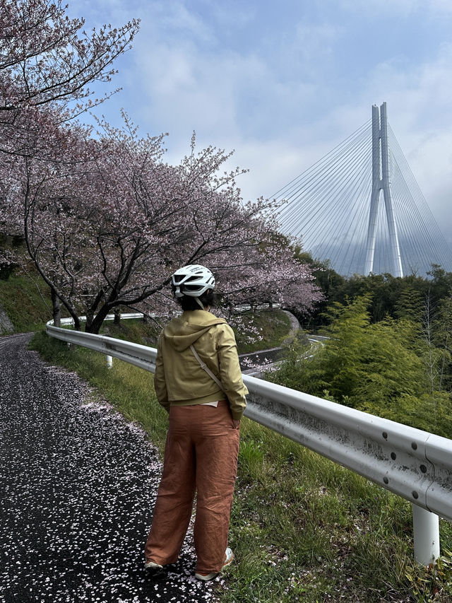 島波海道-尾道到今治的自行車道