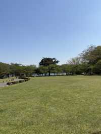 南湖公園でのんびりお散歩】湖に浮かぶボートが絵になる風景