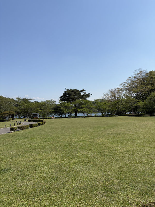 南湖公園でのんびりお散歩】湖に浮かぶボートが絵になる風景