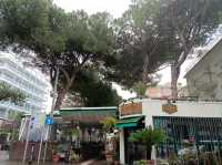Rimini a day trip from Verona