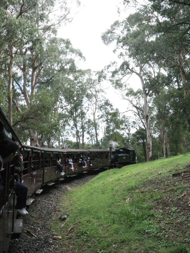 🚂✨ 乘坐墨爾本的Puffing Billy小火車