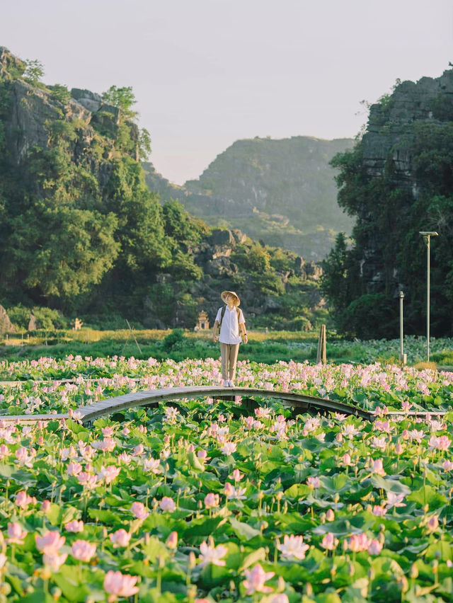 Cố Đô Hoa Lư