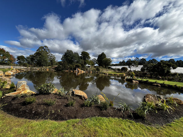 A great stop for great food and scenic garden view- Christmas Hills Raspberry Farm Tasmania 
