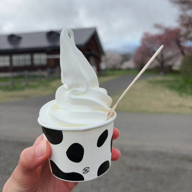 A Spring Day at Koiwai Farm