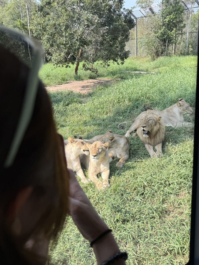 富國島野生動物園