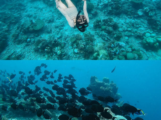 สักครั้งในชีวิตนั่ง Sea Plane นอนบ้านกลางทะเล🌊
