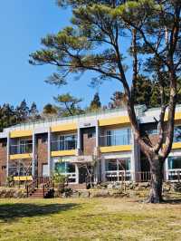 A Breath of Fresh Air and Panoramic Views at Seogwipo Natural Recreational Forest