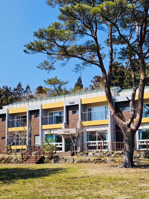 A Breath of Fresh Air and Panoramic Views at Seogwipo Natural Recreational Forest