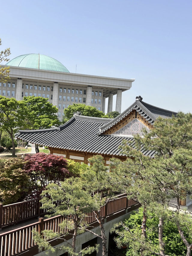 Don’t Miss the Late-Blooming Cherry Blossoms!