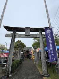 【福岡観光】樹齢100年以上の藤棚が広がる公園✨️