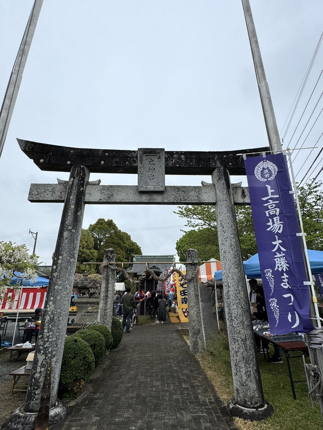 【福岡観光】樹齢100年以上の藤棚が広がる公園✨️