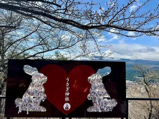 A Scenic Escape, Stunning Views and Peaceful