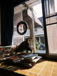 Moon.s Cafe : คาเฟ่เล็กๆ ย่านจรัญ (มีแมวด้วย)