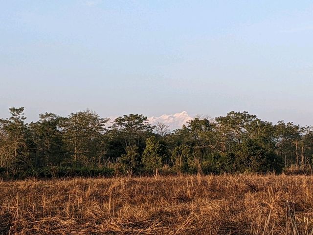 【ネパール🇳🇵】チトワン国立公園でジープサファリ