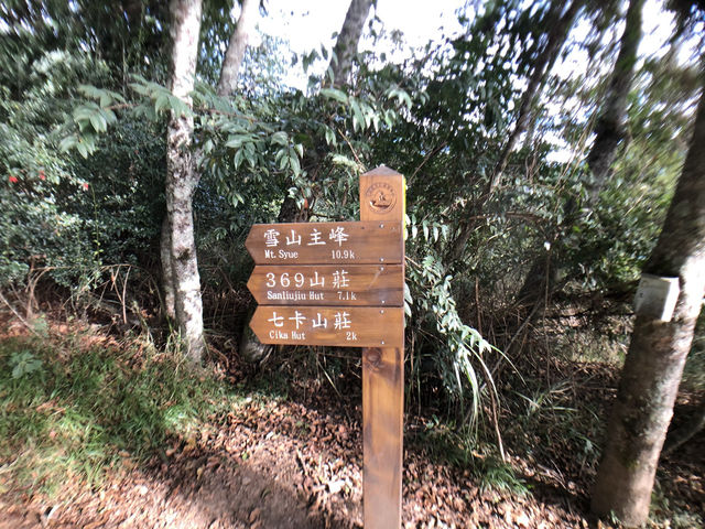 雪山東峰｜百岳新手首選的壯麗高山 
