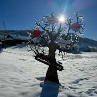 Echoes of Bells & Spirits: Stepping into Silvesterchlausen in Appenzell