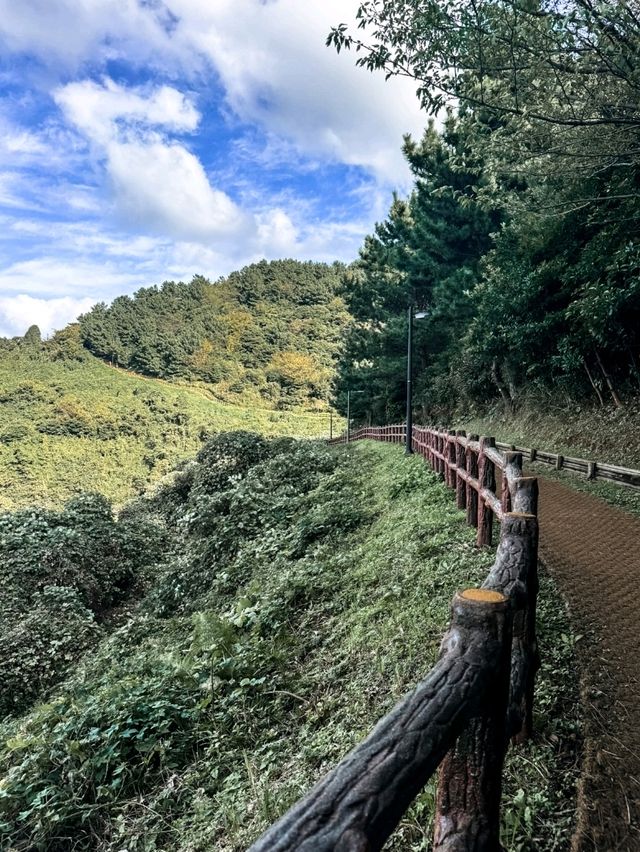 올레 18코스 사라봉