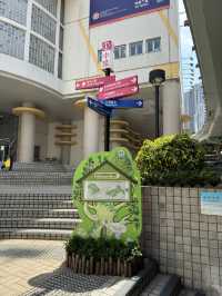 香港｜金鐘商業區｜香港深度遊的都市活力核心