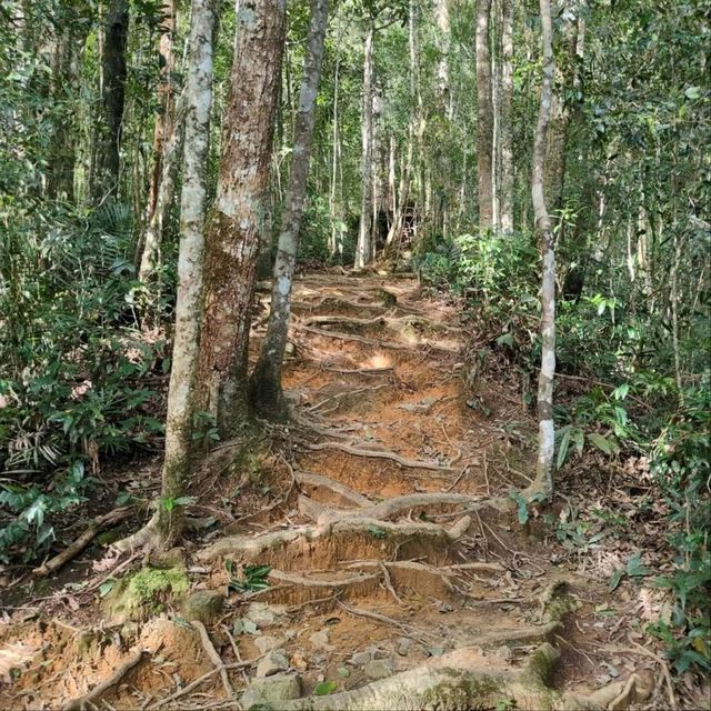 Hiking Feels, Sabah. Worth the Sweat