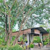 ร้านอาหารเหนือเมืองแปดริ้ว