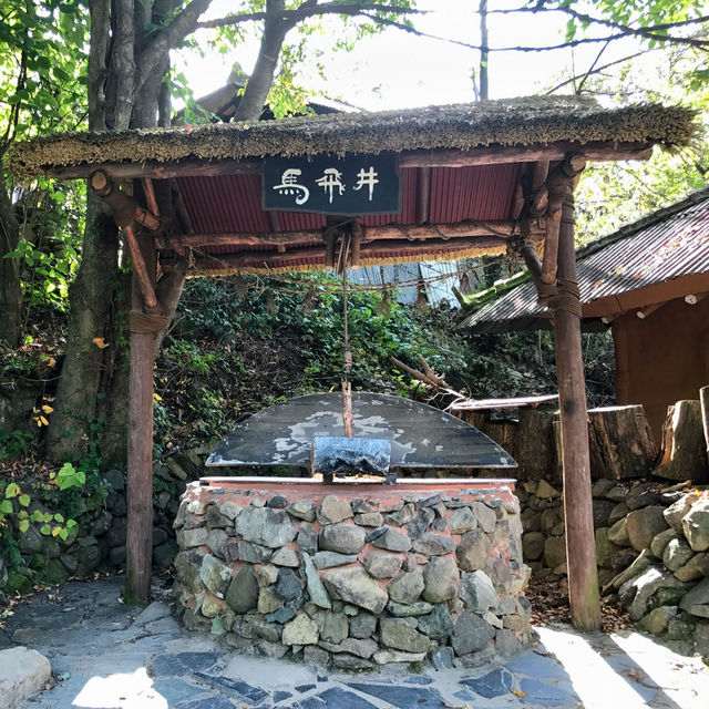 🇰🇷大邱✈️ 鄉村風貌的馬飛亭壁畫村마비정벽화마을