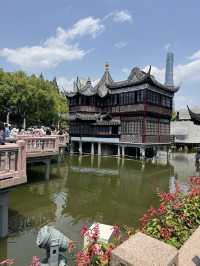From Zen to Zoom: Epic Days in Shanghai