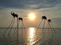 ชมพระอาทิตย์ตก🌞ที่ Sunset Sanato