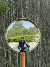 Exploring Seoul Forest 🌳🌿🌴🌱🦌: A Green Oasis in the City