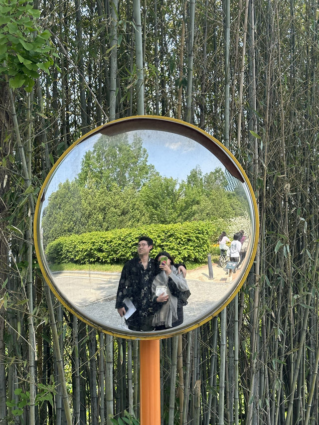 Exploring Seoul Forest 🌳🌿🌴🌱🦌: A Green Oasis in the City